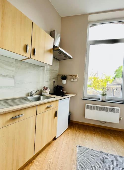 Charmant Petit Appartement. Λιέγη Εξωτερικό φωτογραφία