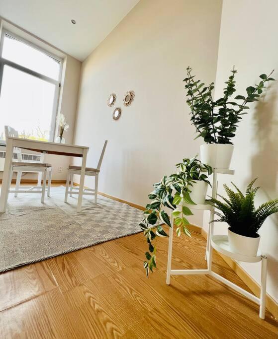 Charmant Petit Appartement. Λιέγη Εξωτερικό φωτογραφία